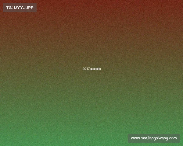 2017国乒晚会完整版