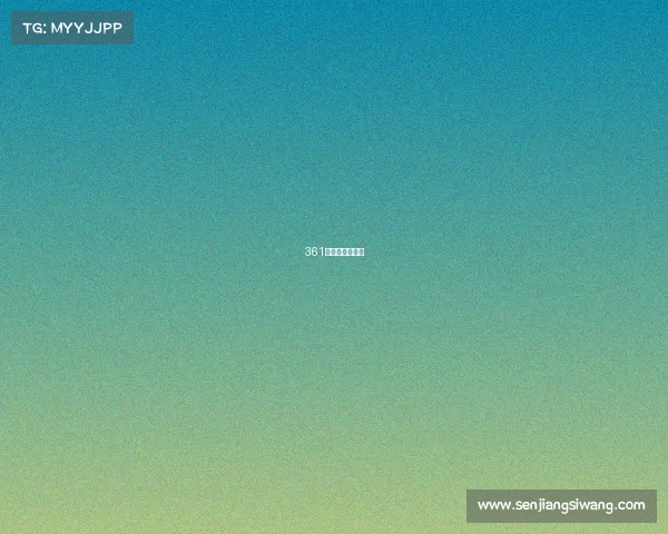 361获奖的那款鞋子